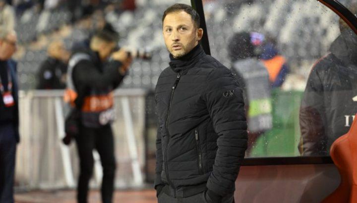 会记者迪马 会记者迪马