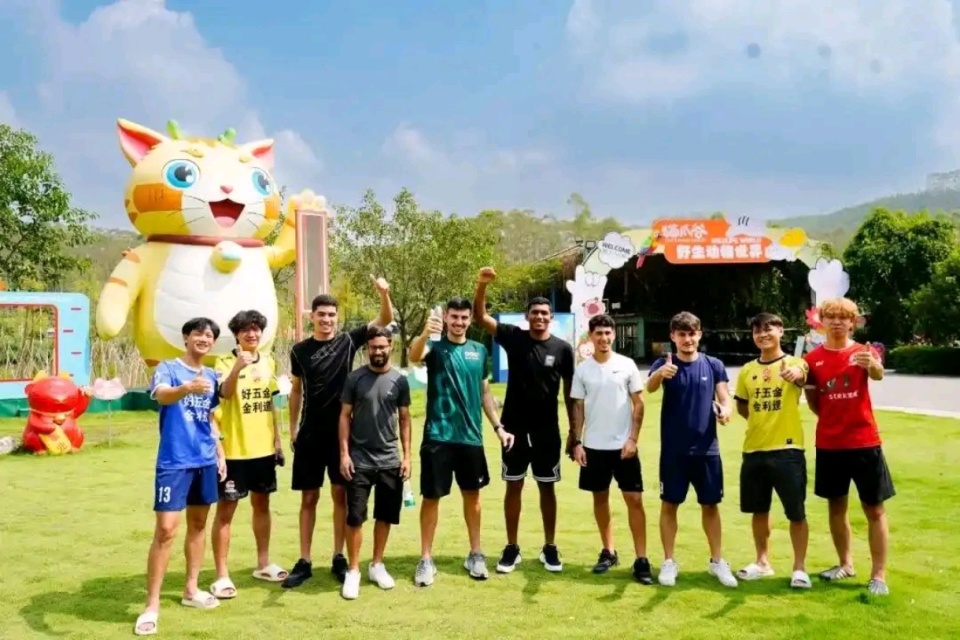 img, 赛效力 img, 赛效力