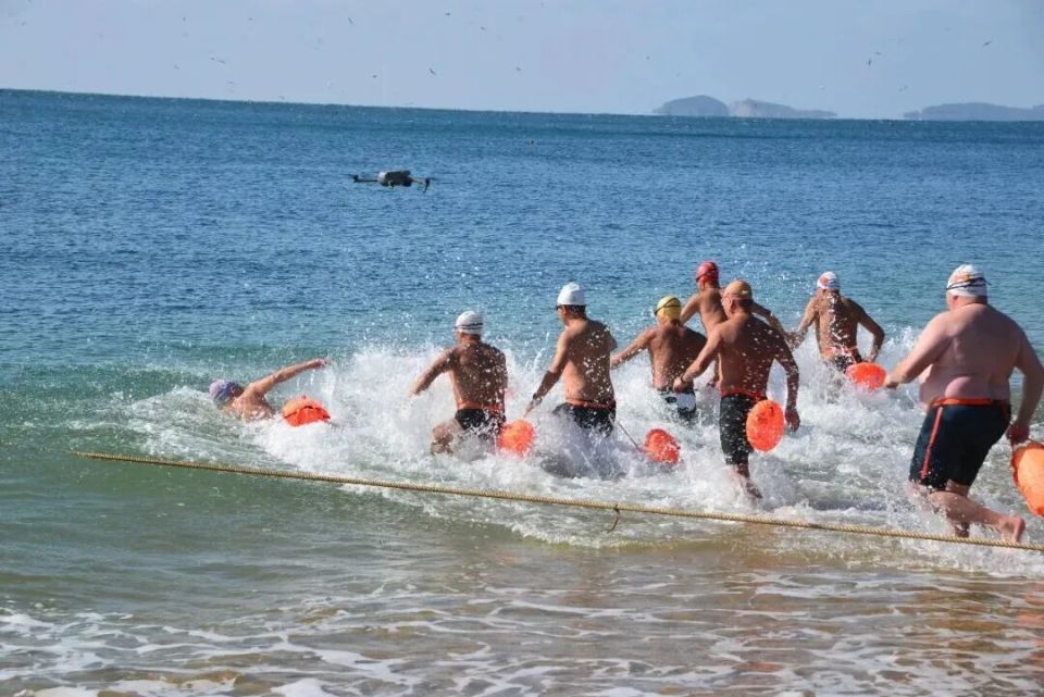 活动正式开, NpO, https 活动正式开, NpO, https